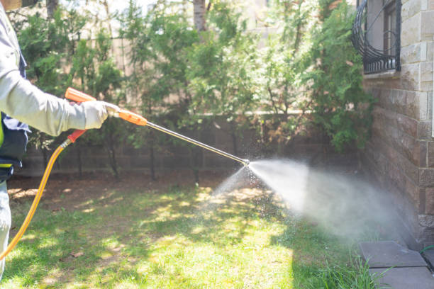 Emergency Pest Control in Portola Valley, CA